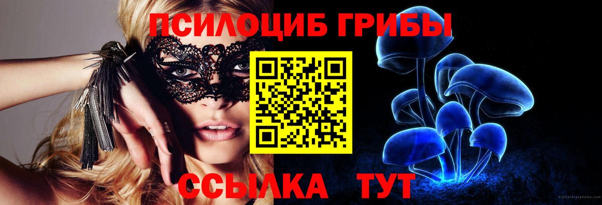 Псилоцибиновые грибы Psilocybine cubensis  Псилоцибиновые грибы GOLDEN TEACHER  Кизляр  Вход с VPN 